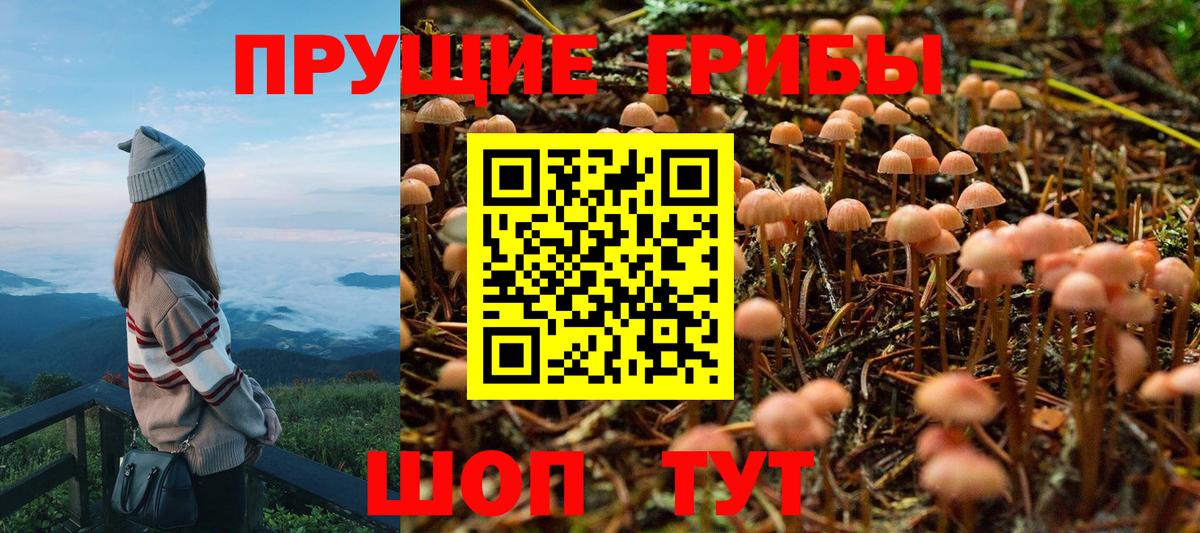 Галлюциногенные грибы ЛСД  Вход с VPN  Уварово  Псилоцибиновые грибы Psilocybe 