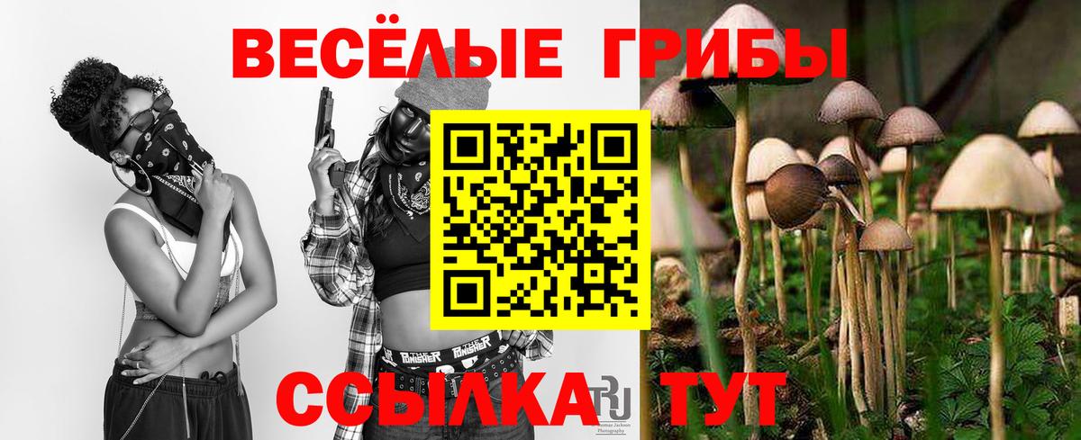Галлюциногенные грибы GOLDEN TEACHER Уварово